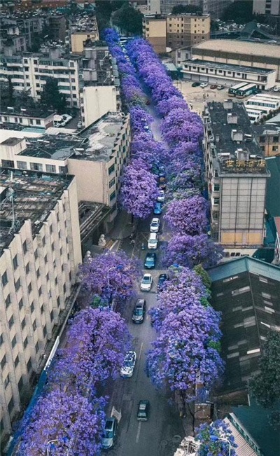 昆明进入全球三线城市!